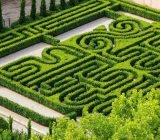 HAZ CAMPER DE NATURALEZA CON EL JARDÍN ITALIANO.
