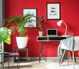 Luz verde por roja: las mejores combinaciones para el hogar.