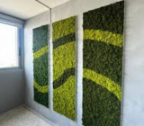 El rincón de la naturaleza en tu salón. Descubra cómo utilizar paneles decorativos de musgo 3D